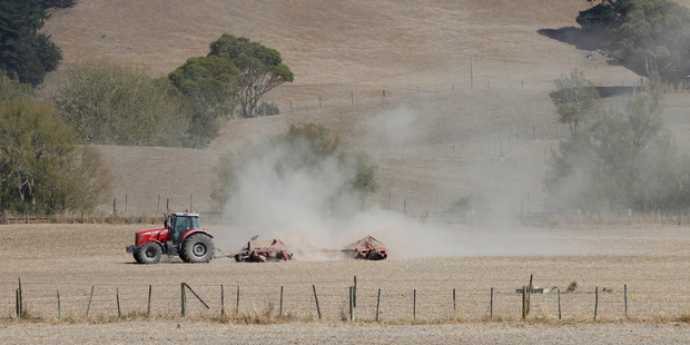 The economic impact of last summer's drought was not as bad as many economists feared. Photo / Mark Mitchell