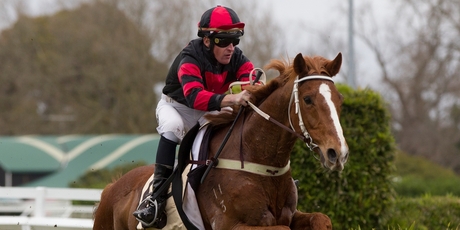 Rangatira gave a dashing display to win the feature. Photo / Brett Phibbs