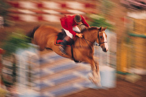 Photo / Thinkstock