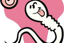 Attraction is all about sperm and eggs.Photo / Thinkstock