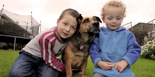 Arthur (left) and Clive Crimmins love Bosun, the new addition to their family, and he loves them back. Photo / George Novak