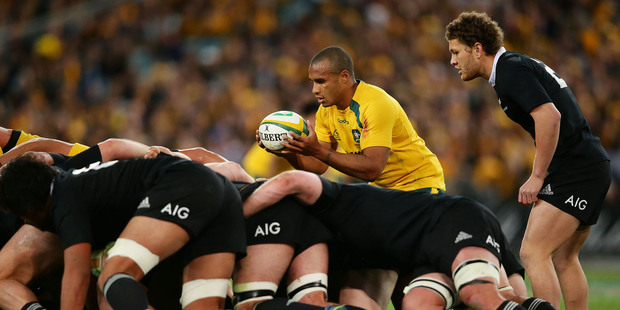 Will Genia of the Wallabies feeds the scrum during The Rugby Championship Bledisloe Cup match. Photo / Getty Images