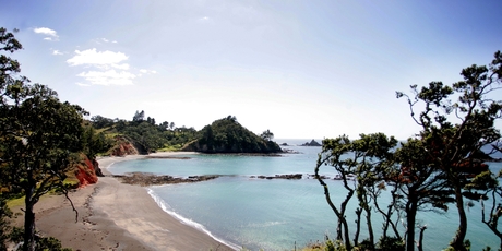 Whananaki is the way campgrounds used to be.