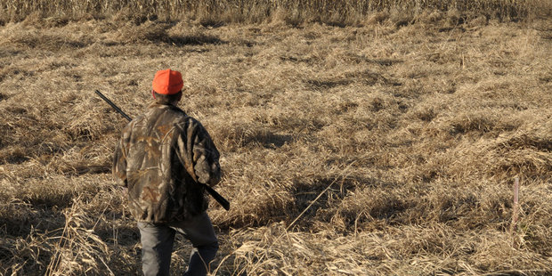 Business networking is more like farming than hunting. Photo / Thinkstock