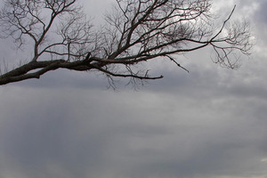 The rain is coming this weekend.
