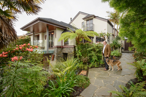 33 Killarney St, Takapuna. Photo / Ted Baghurst