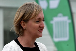 Communications Minister Amy Adams. Photo / APN