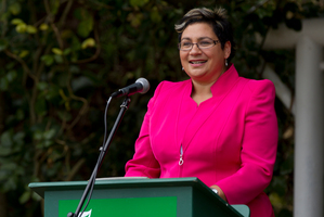 Green Party co-leader Metiria Turei. Photo / Brett Phibbs