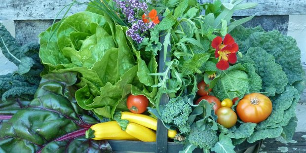 Over a quarter of New Zealanders said the food they would find it hardest to live without would be fruit and veges. Photo / APN