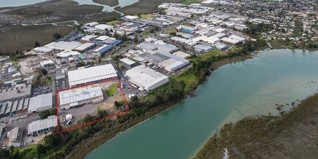 An aerial view of Rosebank Rd, Avondale, with four land parcels for sale marked by a red boundary.