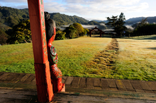 Te Mapoumarae at Maungapohatu. Photo / Peter Quinn