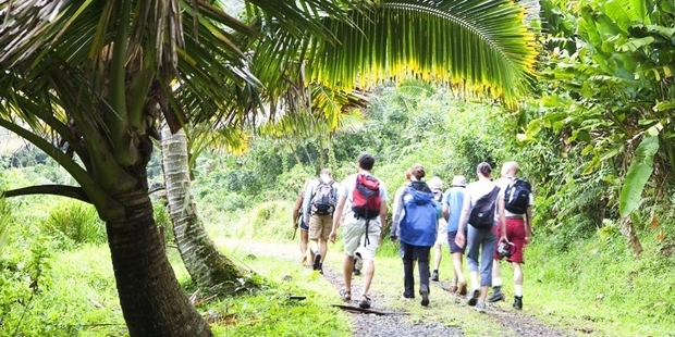 Cross island track on Rarotonga.