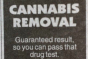 Kiwi entrepreneurialism. (Franklin County News)