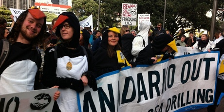 Protesters dressed as penguins in Wellington. Photo / APNZ