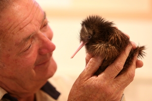 Robert Webb holds newborn kiwi chick Holger, named after the director of Bayer, the company which sponsored the new surgery suite.
