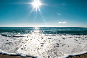 Photo / Thinkstock
