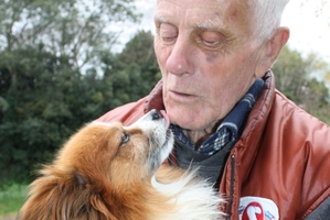 Patrick Mullholland and his 8-year-old papillon puppy Peedee at their home at Rawhiti St following an attack by another dog last Thursday. Photo / Christine McKay