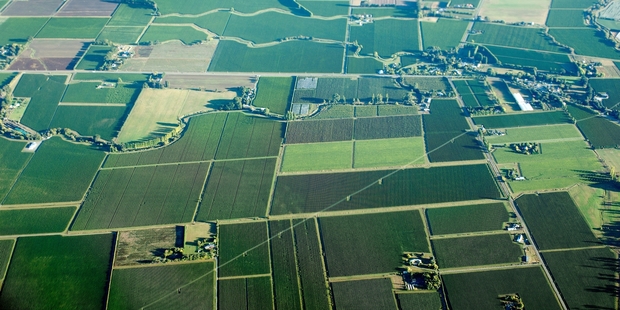 A view from the air of some of the vineyards surrounding Blenheim.