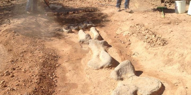 Discover Dino bones in Australia. Photo / Australian Age of Dinosaurs