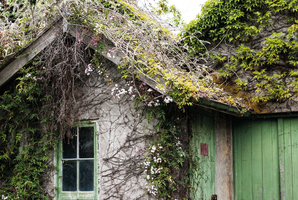 Faded Glamour, Nostalgia Revisited by Rebecca Kain.