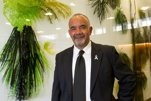 A local bill sponsored by Maori Party co-leader Te Ururoa Flavell would transfer the Tauranga land. Photo / Mark Mitchell
