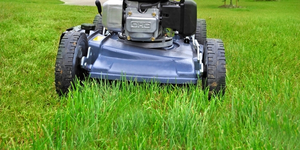 Auckland Transport may also consider mowing berms adjacent to private property if there are significant health or safety issues.