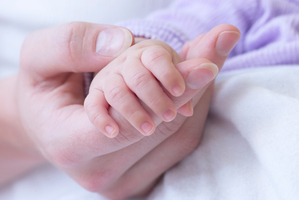 Photo / Thinkstock