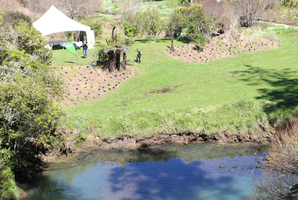 Tree planting at Cascades Reserve in Howick. Photo / Rob Trathern