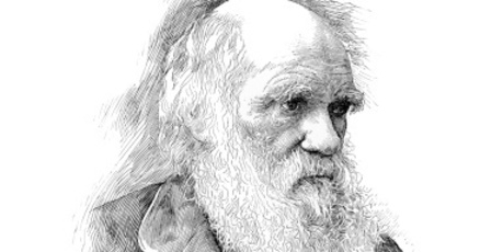 Today Darwin gets the lion's share of the credit. Photo / Thinkstock