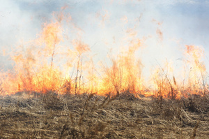 The out-of-control fire came close to nearby houses along the road frontage. Photo / Thinkstock