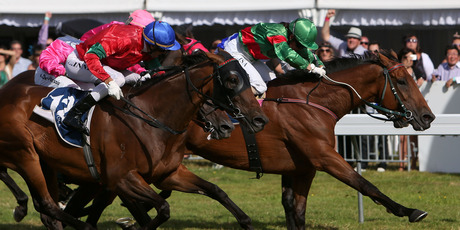 Lisa Alpress, in green, right, gets Blood Brotha home in the Group three Pacific Jewellers Wellington Cup over 2400m at Trentham yesterday. Photo / Getty Images