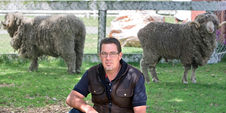 Agrodome general manager Grant Kilby says staff are saddened and disturbed after someone shot and killed three prize sheep on the property. Photo / Ben Fraser