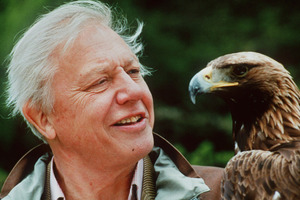 British naturalist David Attenborough says restrictions are needed on the population growth of humans. Photo / Supplied