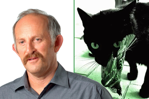 On the Cats to Go website, Dr Gareth Morgan refers to domestic cats as 'sadistic' serial killers that destroy native wildlife.