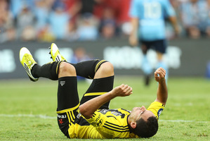 Leo Bertos of the Phoenix. Photo / Getty Images