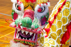 A dragon dance at the ASB Showgrounds will farewell the Year of the Dragon and ring in the Year of the Snake. Photo / Natalie Slade