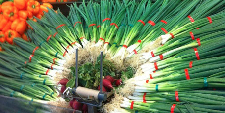 When life gives you spring onions, make art. Spotted in Lincoln Rd Pak'nSave in Henderson by Rut. Photo / Supplied