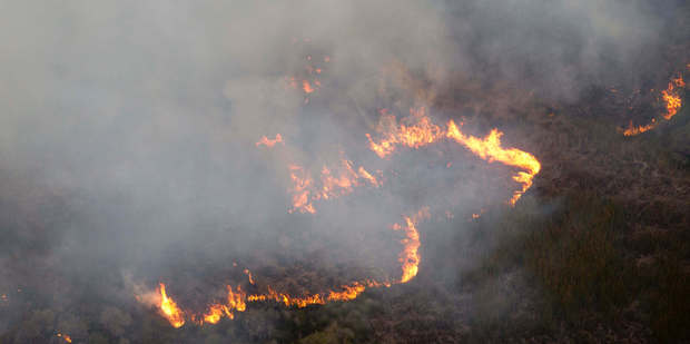 Fire Crews use helicopters to fight a large fire on Great Barrier Island. Photo / Greg Bowker