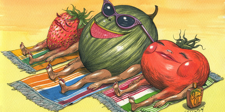 Illustration / Anna Crichton