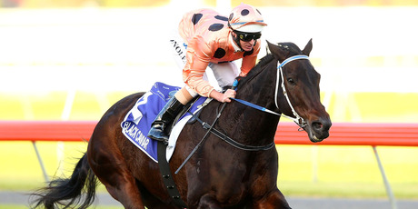Black Caviar is continuing preparations for her autumn carnival return in a jumpout at Sandown on Tuesday. Photo / Getty Images