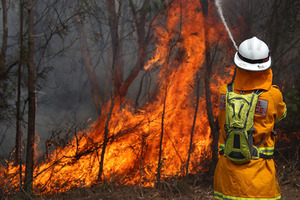 A firefighter battles a blaze in Sydney's Pittwater. Photo / Glenn Nicholls