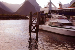 The port areas in Milford Sound is predicted to be at the greatest risk of copper concentration. File photo / APN