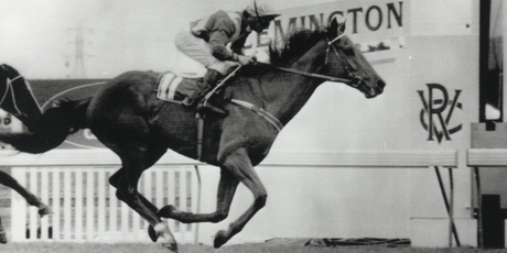 Waverley galloper Kiwi, ridden by Jim Cassidy, wins the 1983 Melbourne Cup for Snow Lupton. Photo / Supplied