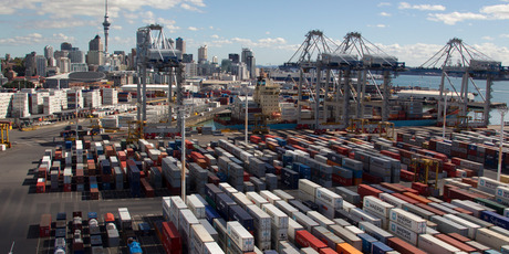 NZ's overall risk profile was linked to a decline in export prices. Photo / Brett Phibbs