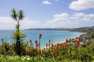 Waiheke Island. File photo / NZ Herald