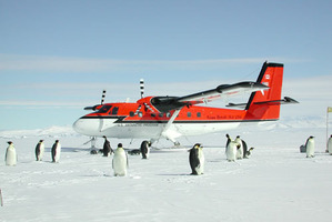 A Twin Otter plane. Photo / File / Kenn Borek