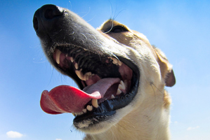 Photo / File / Thinkstock