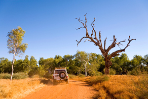 Australia is breaking all the wrong records when it comes to heat. Photo / Getty Images