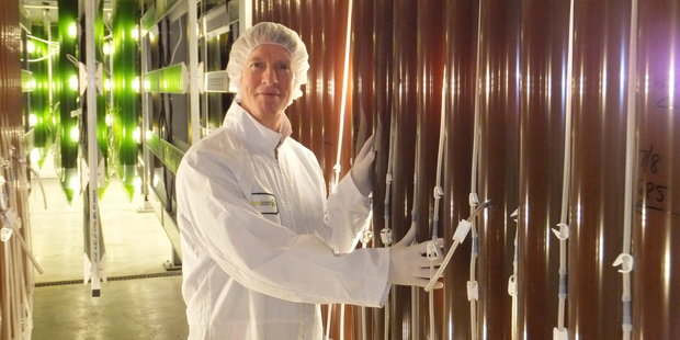 Robert Corish, medical director Supreme Biotechnologies with his algae.