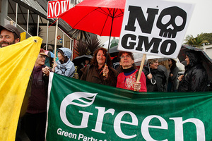 Protesters march against GMO in Whangarei.